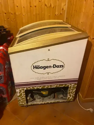 Congelador Haagen-Dazs