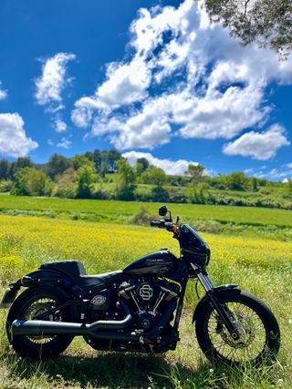 Harley Davidson street bob 107 2020 - Clubstyle.