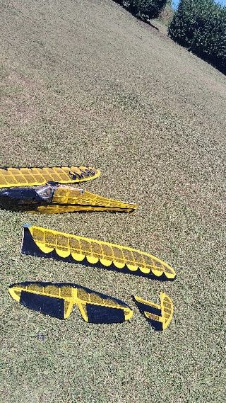 Avión RC Simbad Morado y Verde