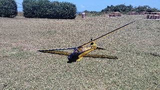 Avión RC Simbad Morado y Verde