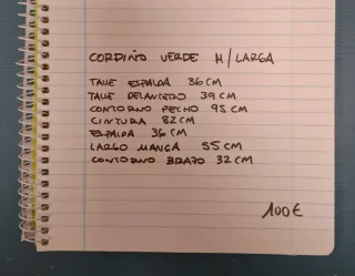 Corpiño fallera verde azulado