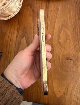 iPhone 13 Pro Max Oro