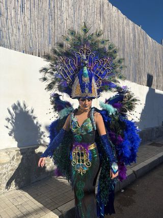 Disfraz Pavo Real Hecho a Mano