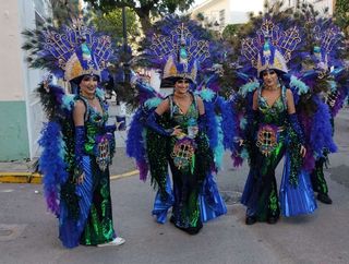 Disfraz Pavo Real Hecho a Mano