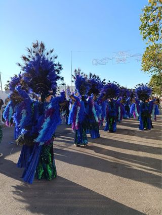 Disfraz Pavo Real Hecho a Mano