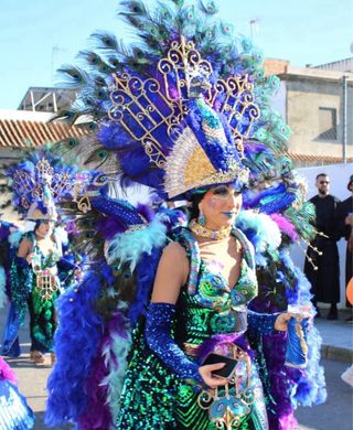 Disfraz Pavo Real Hecho a Mano