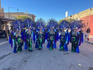 Disfraz Pavo Real Hecho a Mano