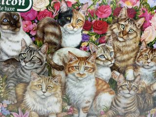 (15) 1000 Piezas FLORAL CATS - Debbie Cook Falcon
