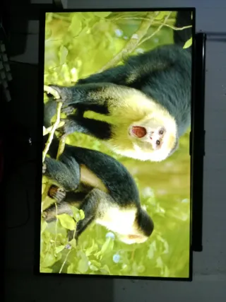 Monitor Gaming 120 FPS
