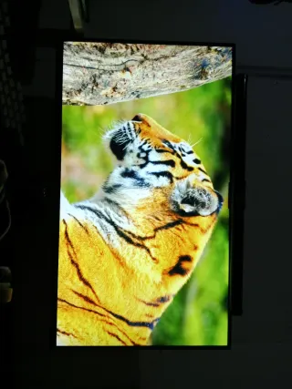 Monitor Gaming 120 FPS