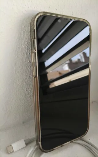 iPhone 13 Pro Max Verde + Custodia + Cavo