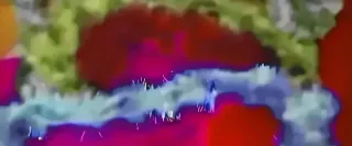 Lote Navidad: Precio Lote:12€