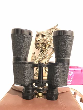 Prismáticos Steiner Bayreuth 10x50 Made in Germany