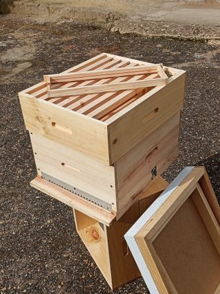 Colmena Langstroth nueva completa