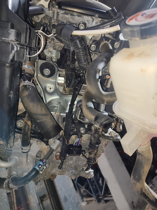 CAJA CAMBIOS TOYOTA AURIS Hybrid Feel! Edition |