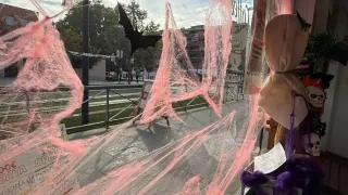 Traspaso - alquiler   panadería pastelería