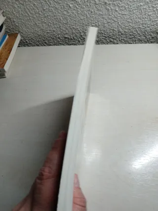 El Coyote. la Legión Del Lobo. el Valle de los ...