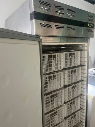 Congelador vertical acero inoxidable