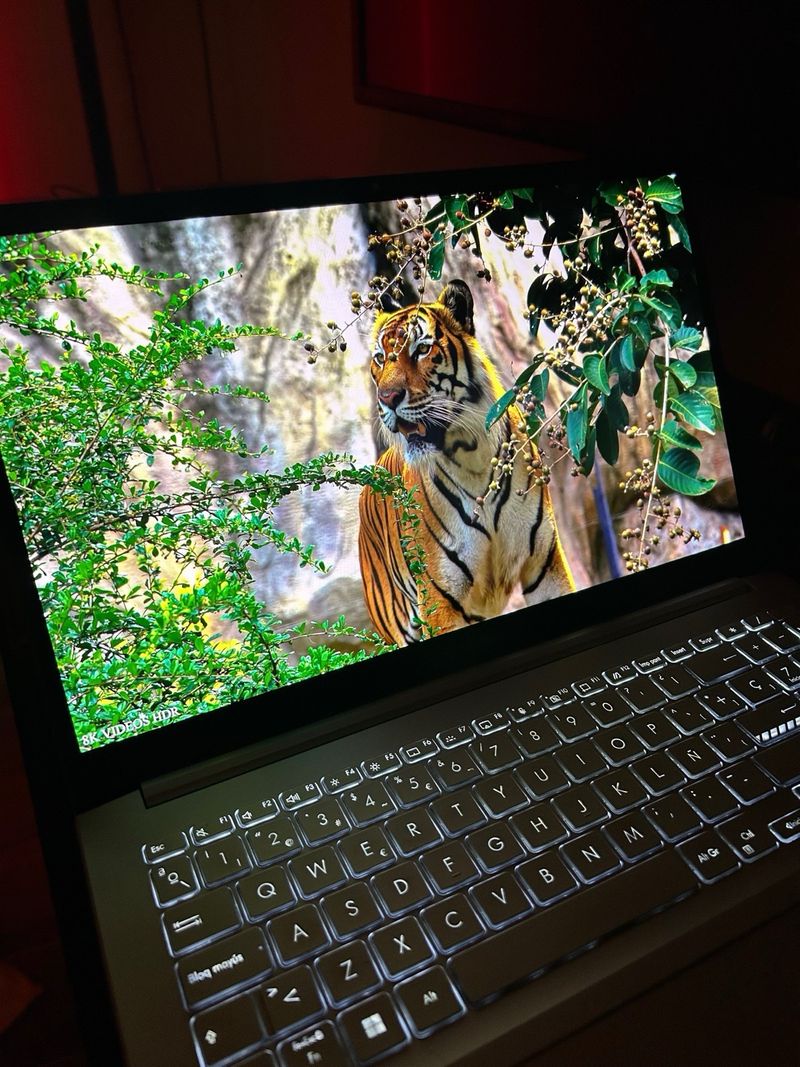 asus vivobook pro 15  ,6 pulgadas afbeelding 3