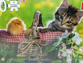 (54) 500 P. Preparados para el picnic/Premium Qual