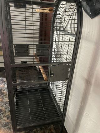 Jaula Loro/Cotorra Negra Muy Cuidada