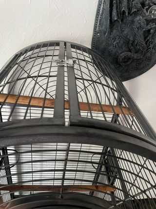 Jaula Loro/Cotorra Negra Muy Cuidada