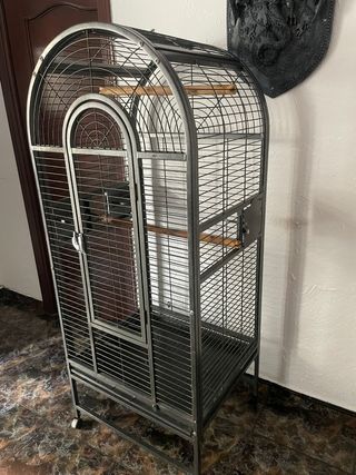 Jaula Loro/Cotorra Negra Muy Cuidada