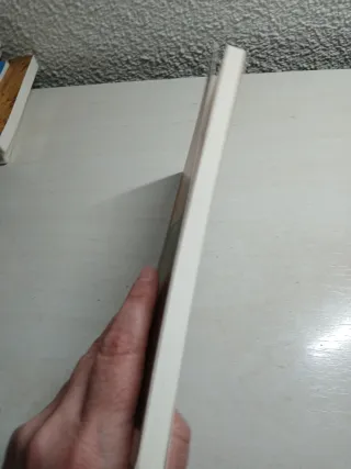 Mujer mirando al mar (Spanish Edition)