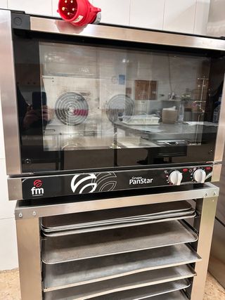 Horno Eléctrico FM PanStar RX-604 Plus