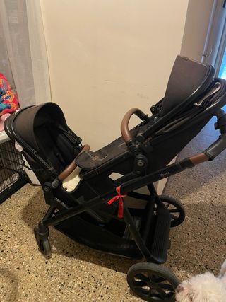 Carrito gemelar con todos los acessórios