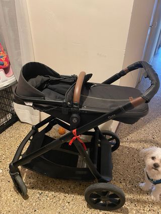 Carrito gemelar con todos los acessórios