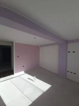 Servicios de pintura profesional