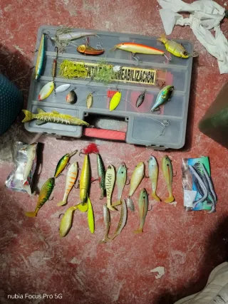 Kit de pesca: cañas y accesorios