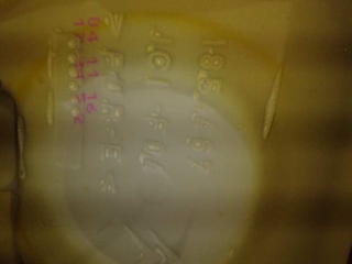 ASIENTO TRASERO MEDIO CITROEN C4 LIM. Feel | 01.1