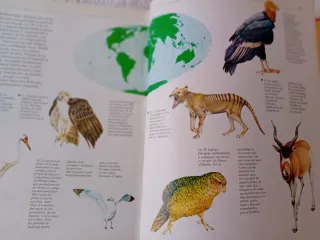 Libro Presentación colección R. Animales