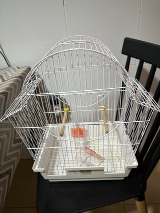 Fina Jaula para pájaros blanca, no es marca china