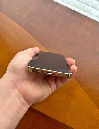 iPhone 13 Pro Max Oro