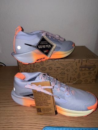 Nike Pegasus Trail 5 Gore-Tex G