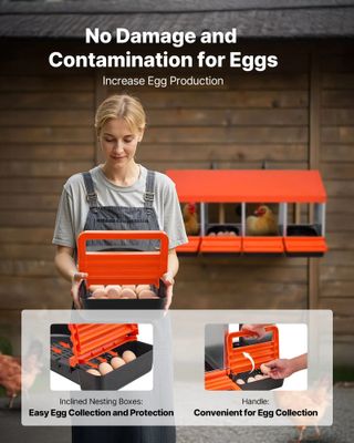 Nido per Polli 1060x525x475mm, 4 Scomparti, Acciaio Zincato, con Piattaforma e Nidi Inclinati per Diverse Razze