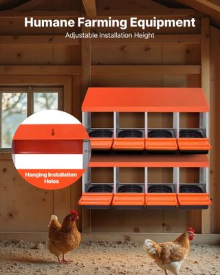 Nido per Polli 1060x525x475mm, 4 Scomparti, Acciaio Zincato, con Piattaforma e Nidi Inclinati per Diverse Razze