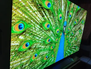 TV LG OLED evo 65c46LA