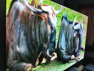 TV LG OLED evo 65c46LA