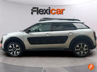 Citroën C4 Cactus BlueHDi 100 Aordream Business