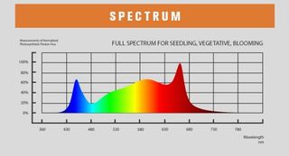 LED 1000W ECO-LINE LUMEN KING EN PROMOCION