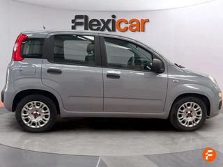 Fiat Panda Panda Hybrid 1.0 Gse 51kw (70CV)