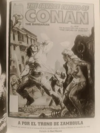 TOMO LA ESPADA SALVAJE DE CONAN.LA CIUDAD DE LOS C