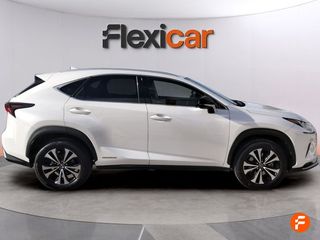 Lexus NX 2.5 300h Business 2WD