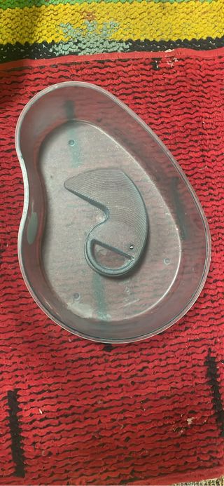 Vaschette per tartarughe e pesci