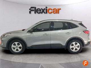 Ford Kuga Trend 1.5 EcoBlue 88kW (120CV)