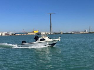 Embarcación Dipol Alcatraz 580